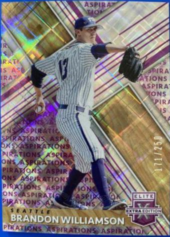 Brandon Williamson [Aspirations Purple] #59