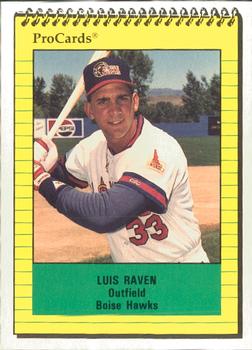 Luis Raven #3897