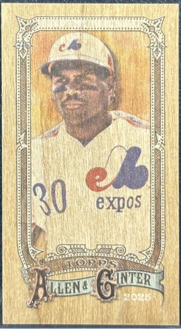 Tim Raines [Wood Mini] #333