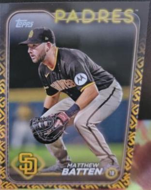Matthew Batten [Team Color] #384