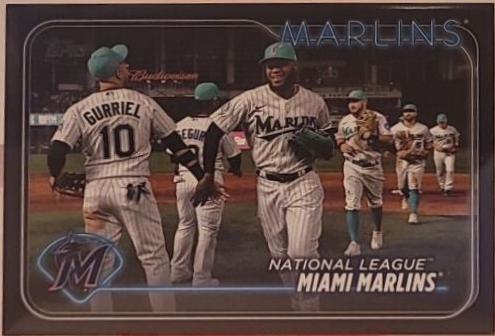 Miami Marlins [Black] #252