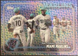 Miami Marlins [Flowers] #252