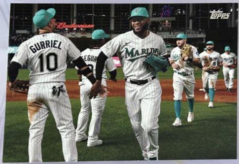 Miami Marlins [True Photo] #252