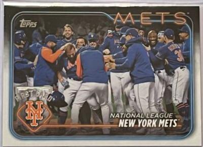 New York Mets [Platinum] #557
