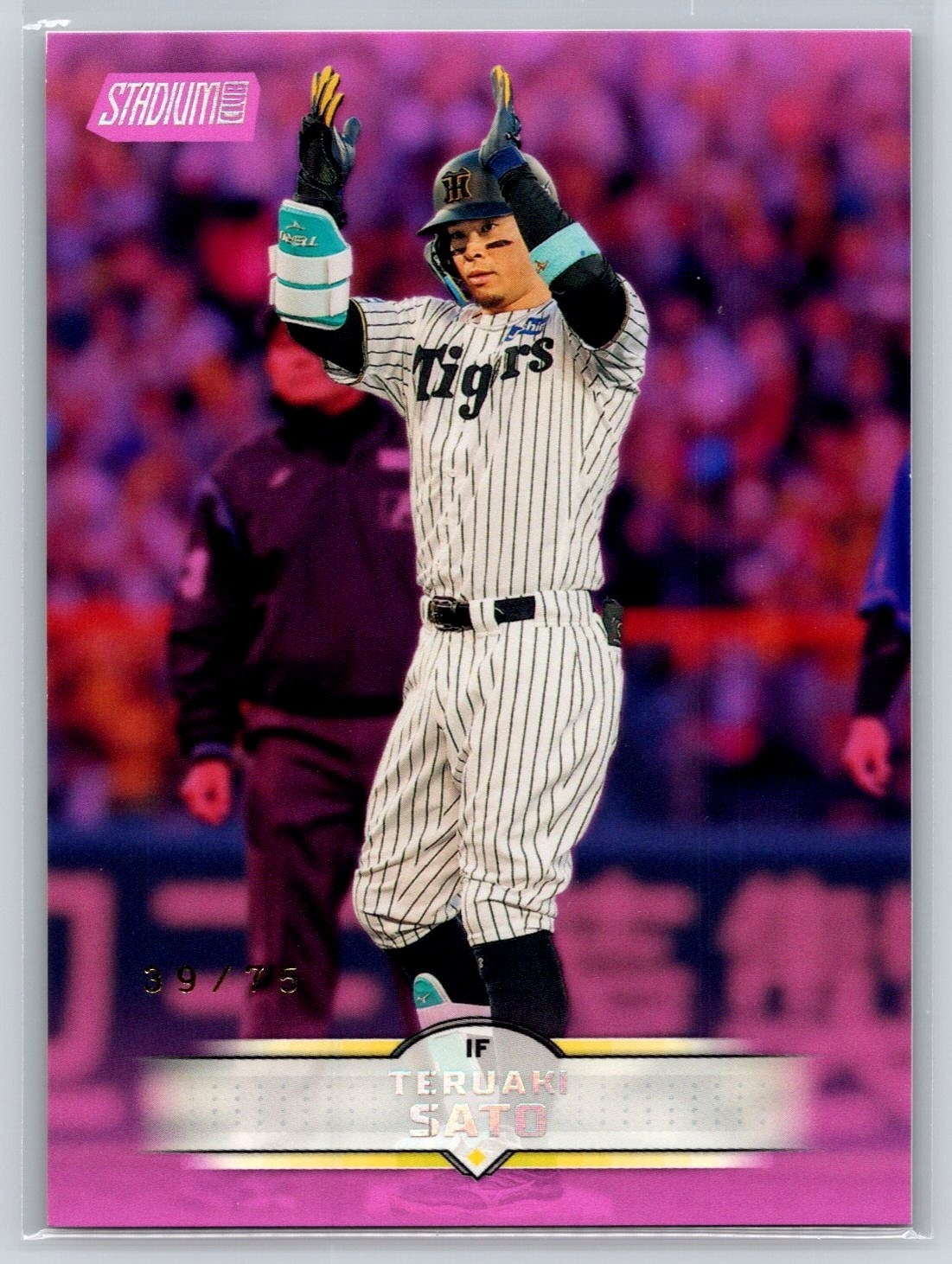 Teruaki Sato [Pink] #211