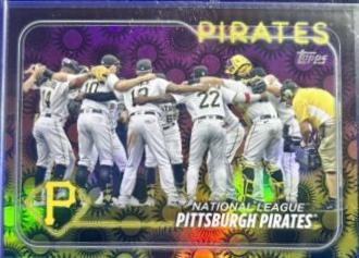 Pittsburgh Pirates [Sun] #696