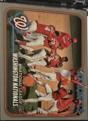Washington Nationals [Platinum] #417