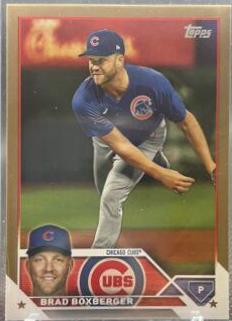 Brad Boxberger [Gold] #590
