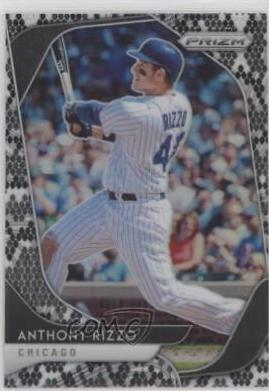 Anthony Rizzo [Snake Skin Prizm] #224