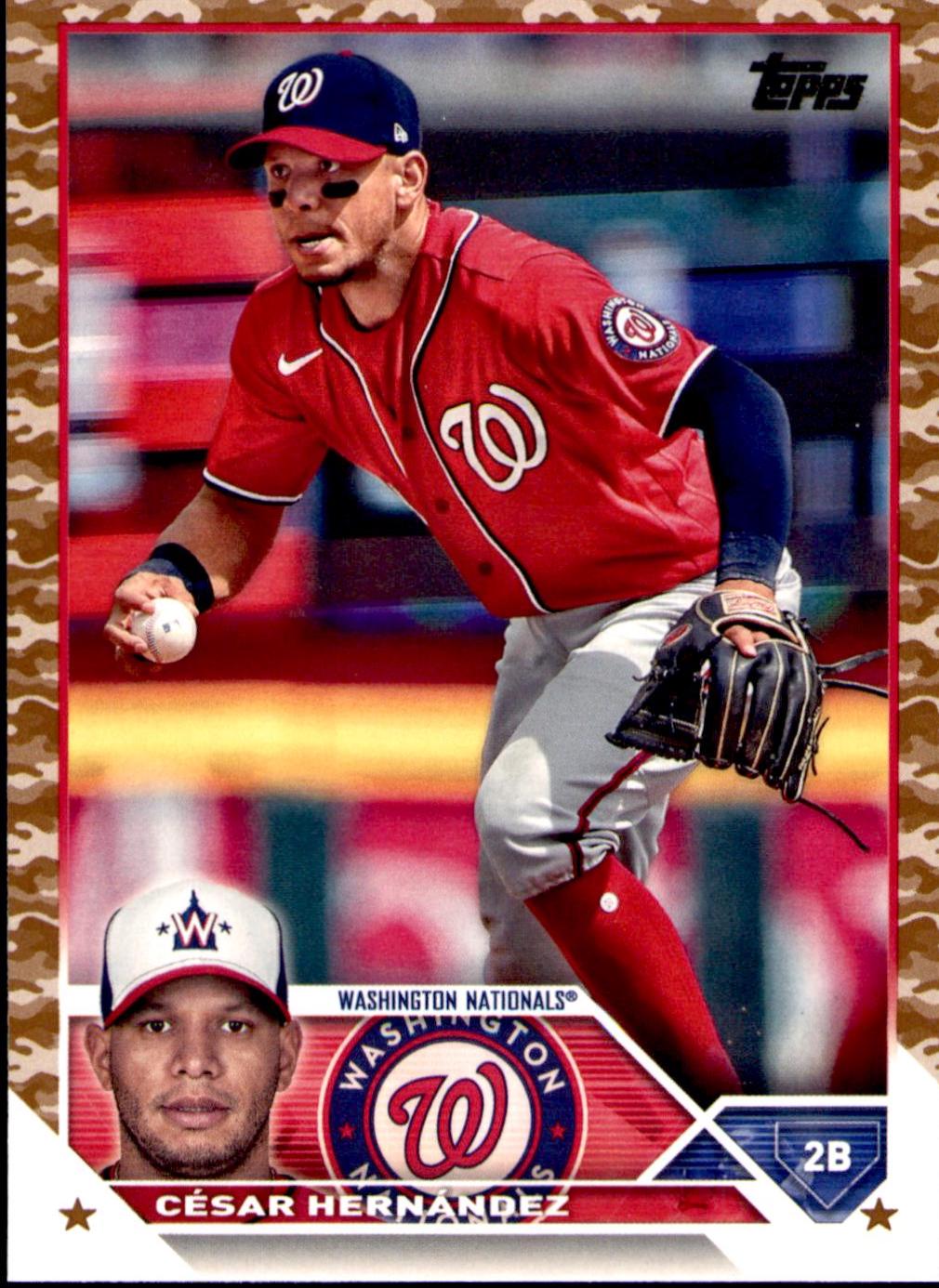 Cesar Hernandez [Memorial Day Camo] #244