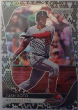 Juan Soto [Snake Skin Prizm] #47