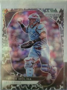 Yadier Molina [Snake Skin Prizm] #152