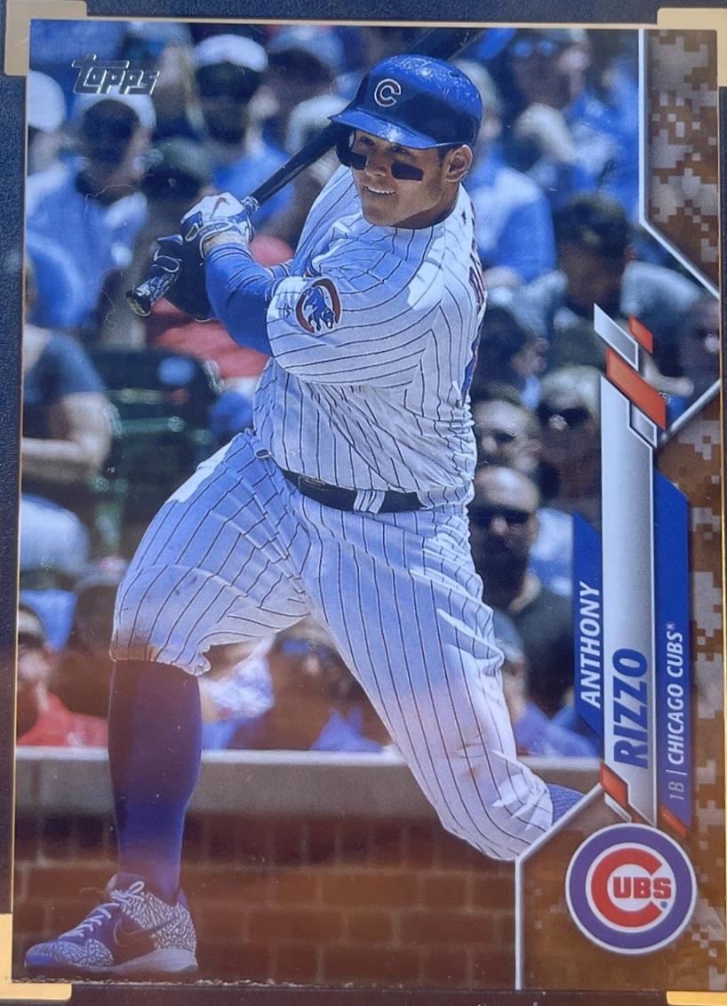 Anthony Rizzo [Memorial Day Camo] #51