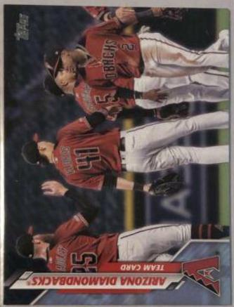 Arizona Diamondbacks [Father's Day Blue] #651
