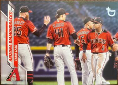 Arizona Diamondbacks [Vintage Stock] #651
