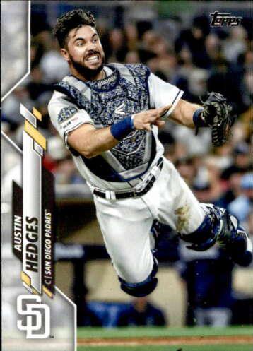 Austin Hedges #320