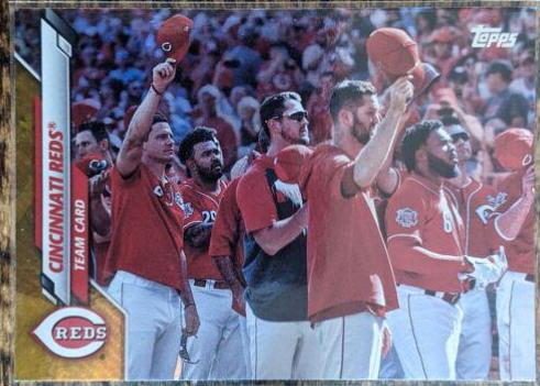 Cincinnati Reds [Gold Foil] #431