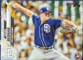 David Bednar #531