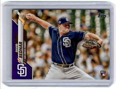 David Bednar [Purple] #531