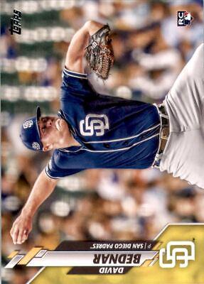 David Bednar [Yellow] #531