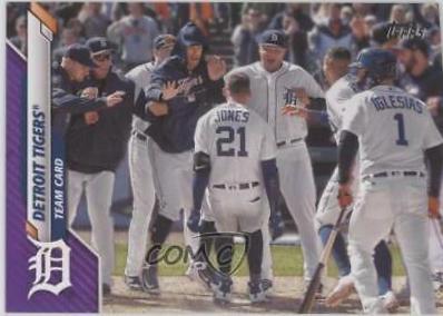 Detroit Tigers [Purple] #625