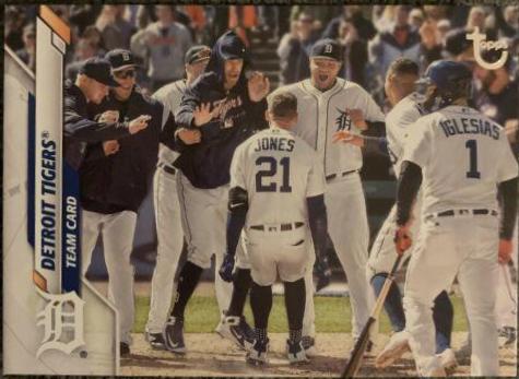 Detroit Tigers [Vintage Stock] #625