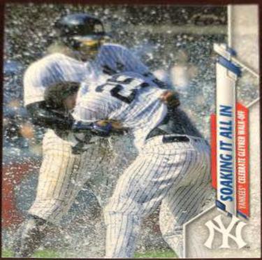 Didi Gregorius / Gleyber Torres #157