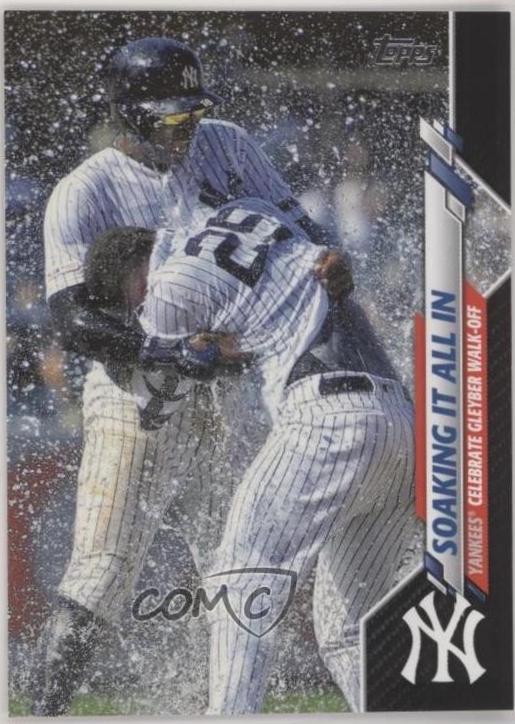 Didi Gregorius / Gleyber Torres [Black] #157
