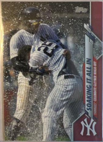 Didi Gregorius / Gleyber Torres [Mother's Day Pink] #157
