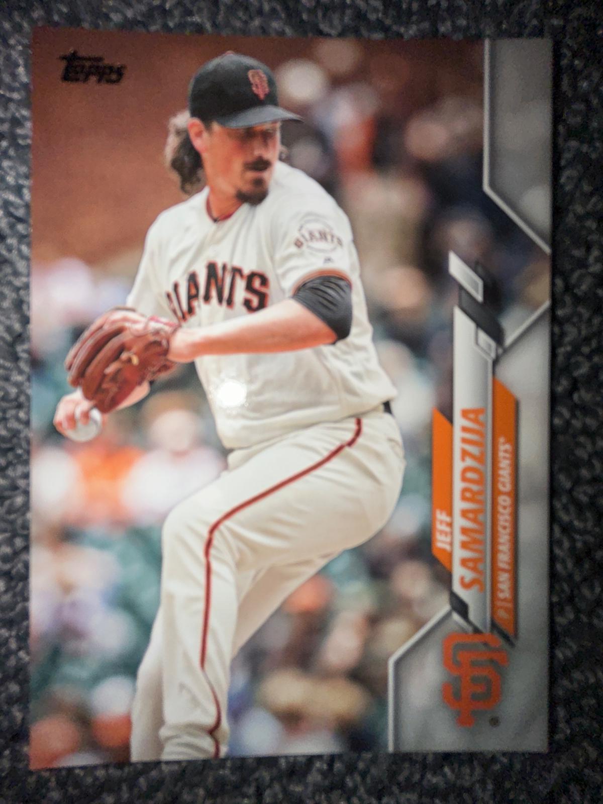 Jeff Samardzija #295