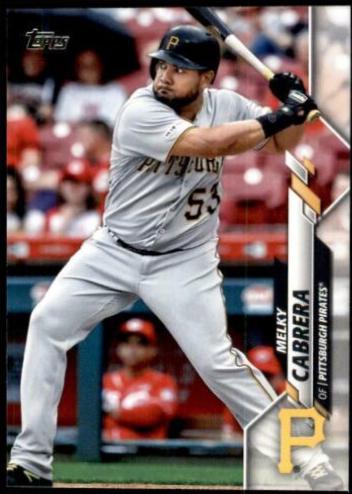 Melky Cabrera #313