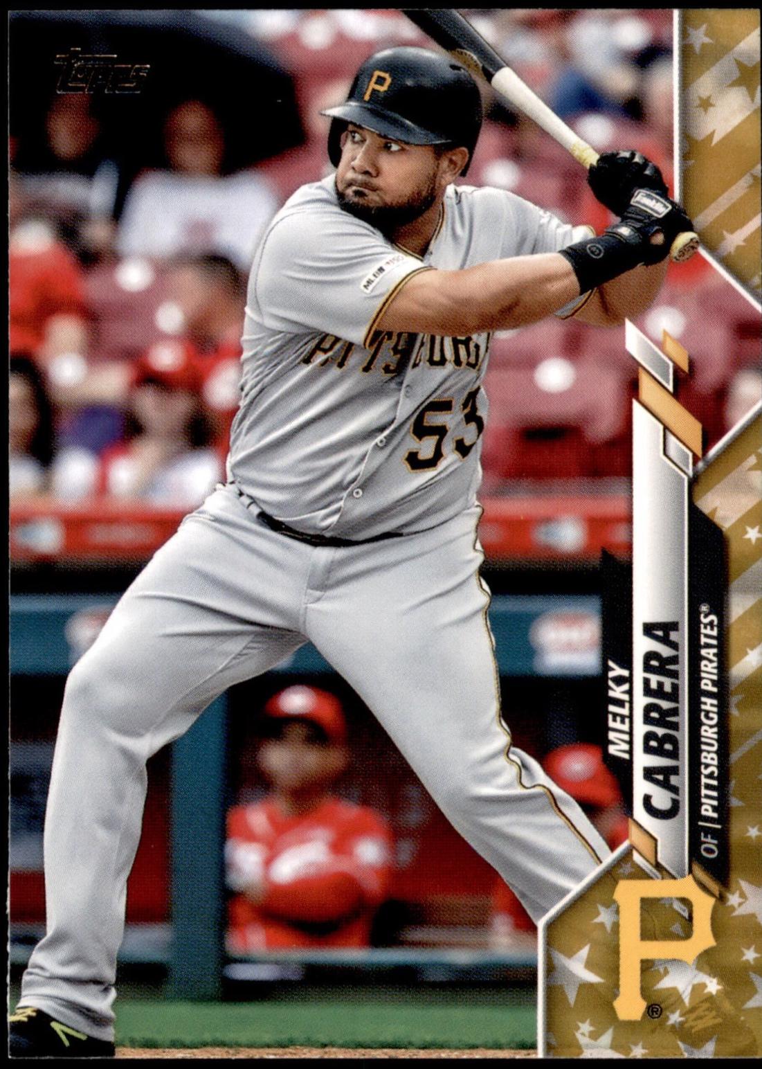 Melky Cabrera [Gold Star] #313