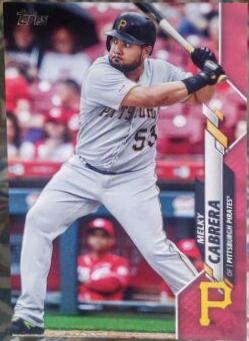 Melky Cabrera [Mother's Day Pink] #313