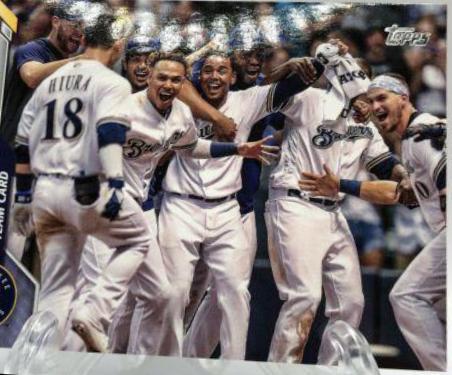 Milwaukee Brewers [Father's Day Blue] #27