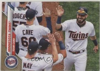 Minnesota Twins [Gold] #213