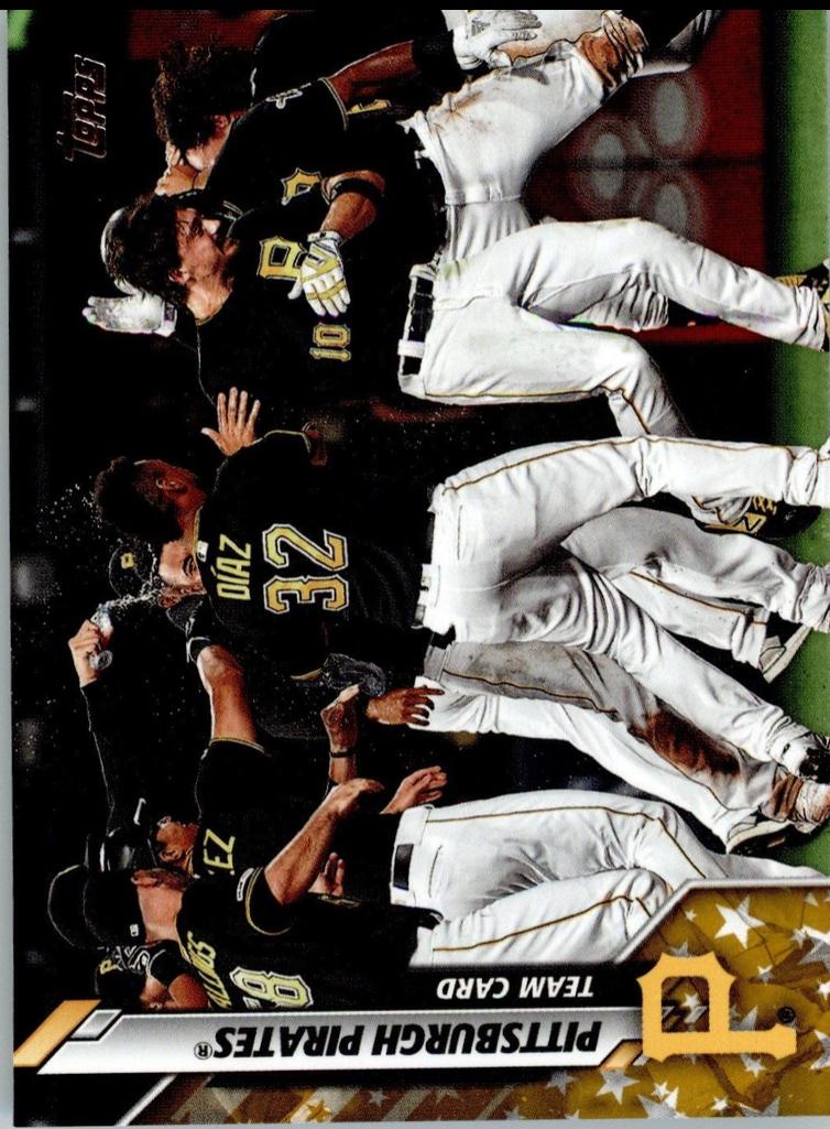 Pittsburgh Pirates [Gold Star] #594