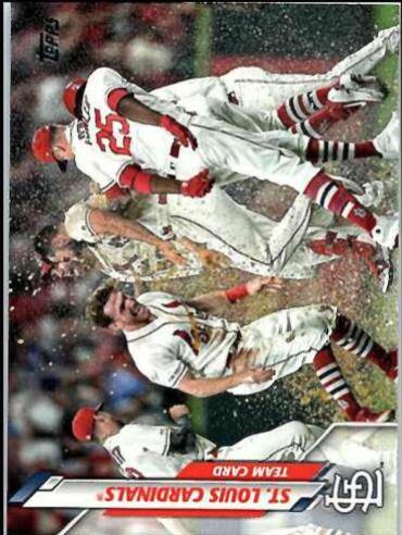 St. Louis Cardinals #87