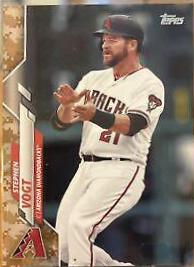 Stephen Vogt [Memorial Day Camo] #605