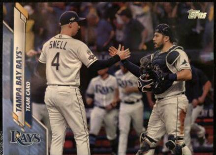 Tampa Bay Rays #501