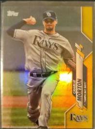 Tampa Bay Rays [Gold Foil] #501