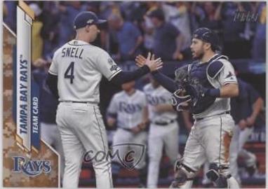 Tampa Bay Rays [Memorial Day Camo] #501