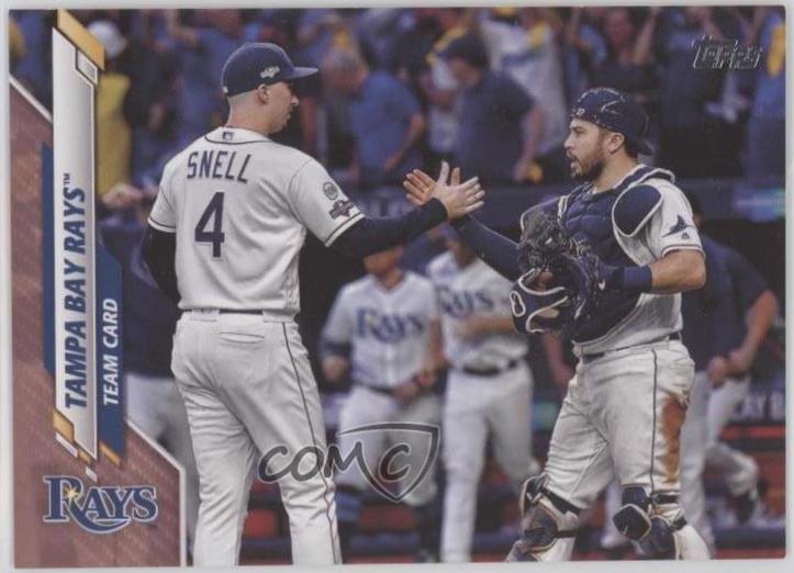 Tampa Bay Rays [Mother's Day Pink] #501