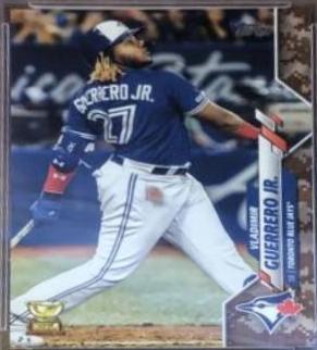 Vladimir Guerrero Jr. [Memorial Day Camo] #182