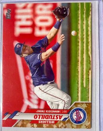 Willians Astudillo [Memorial Day Camo] #502