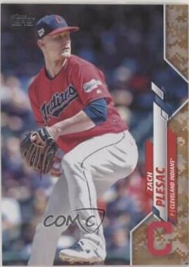 Zach Plesac [Memorial Day Camo] #653
