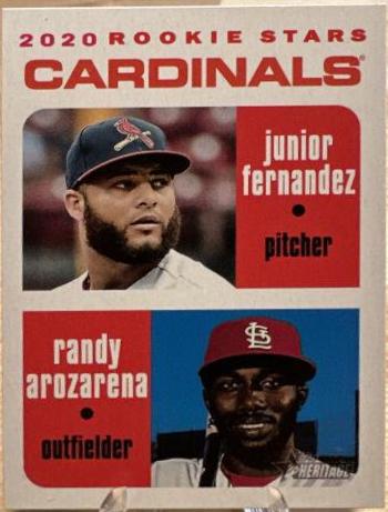 Junior Fernandez / Randy Arozarena [White Border] #216