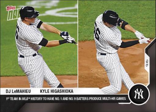 DJ LeMahieu / Kyle Higashioka #273