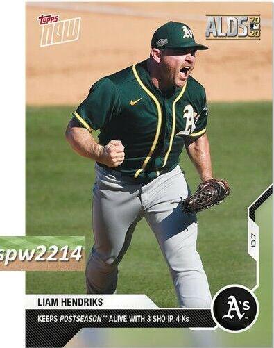 Liam Hendriks #381