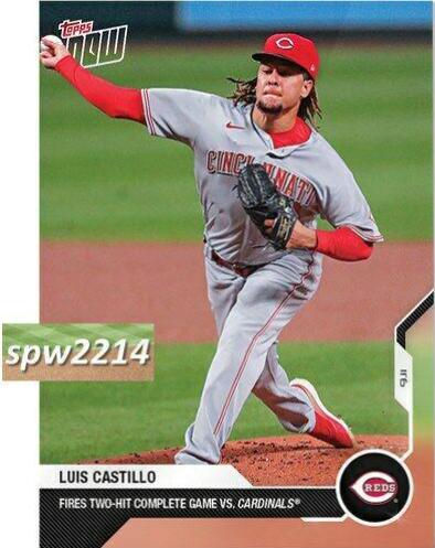 Luis Castillo #254