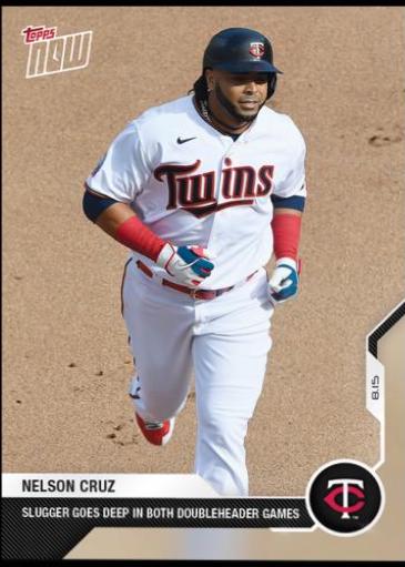 Nelson Cruz #110